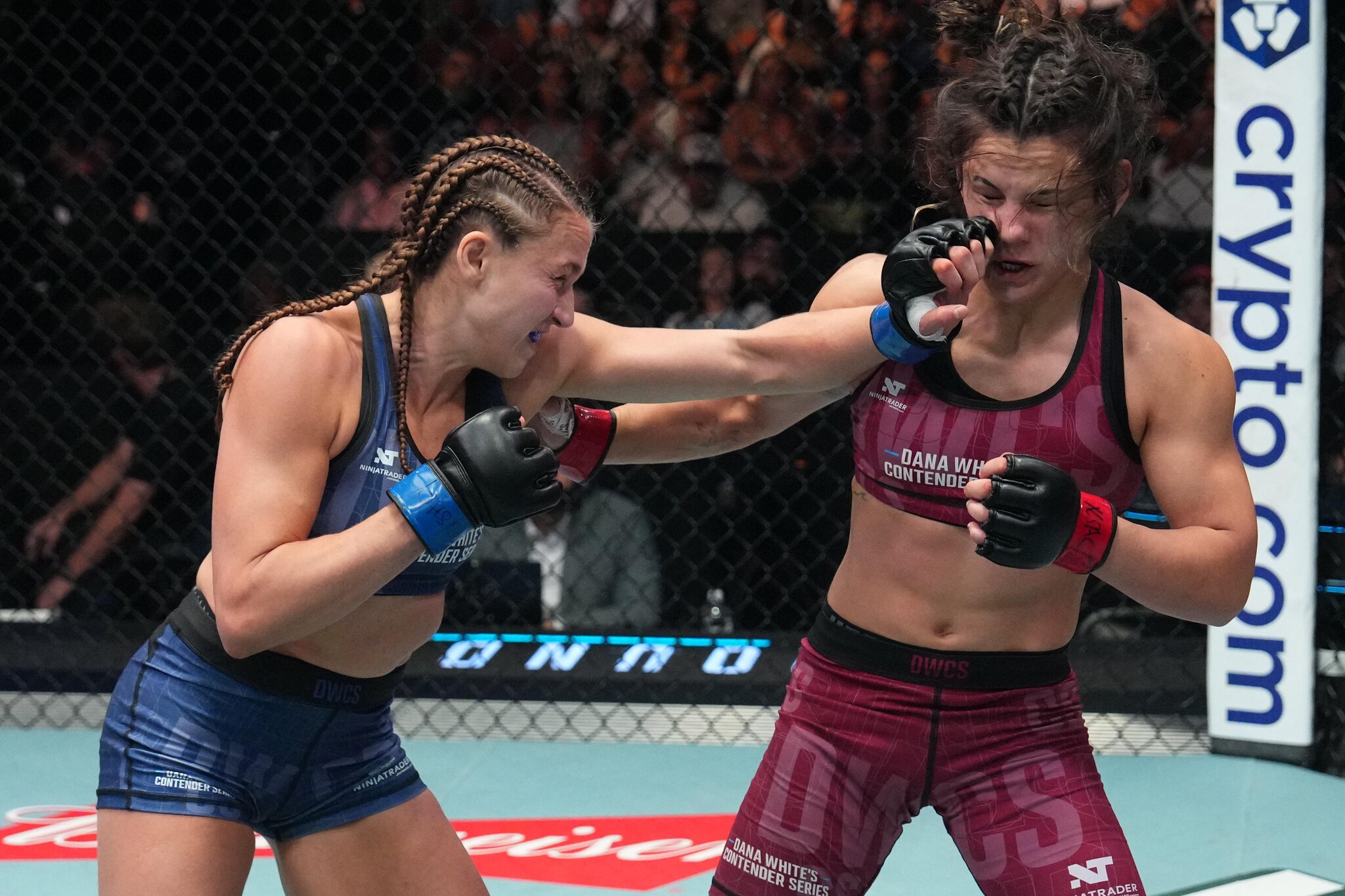 Holy fraud check’: Pros react to Bella Mir’s shocking upset loss on Contender Series