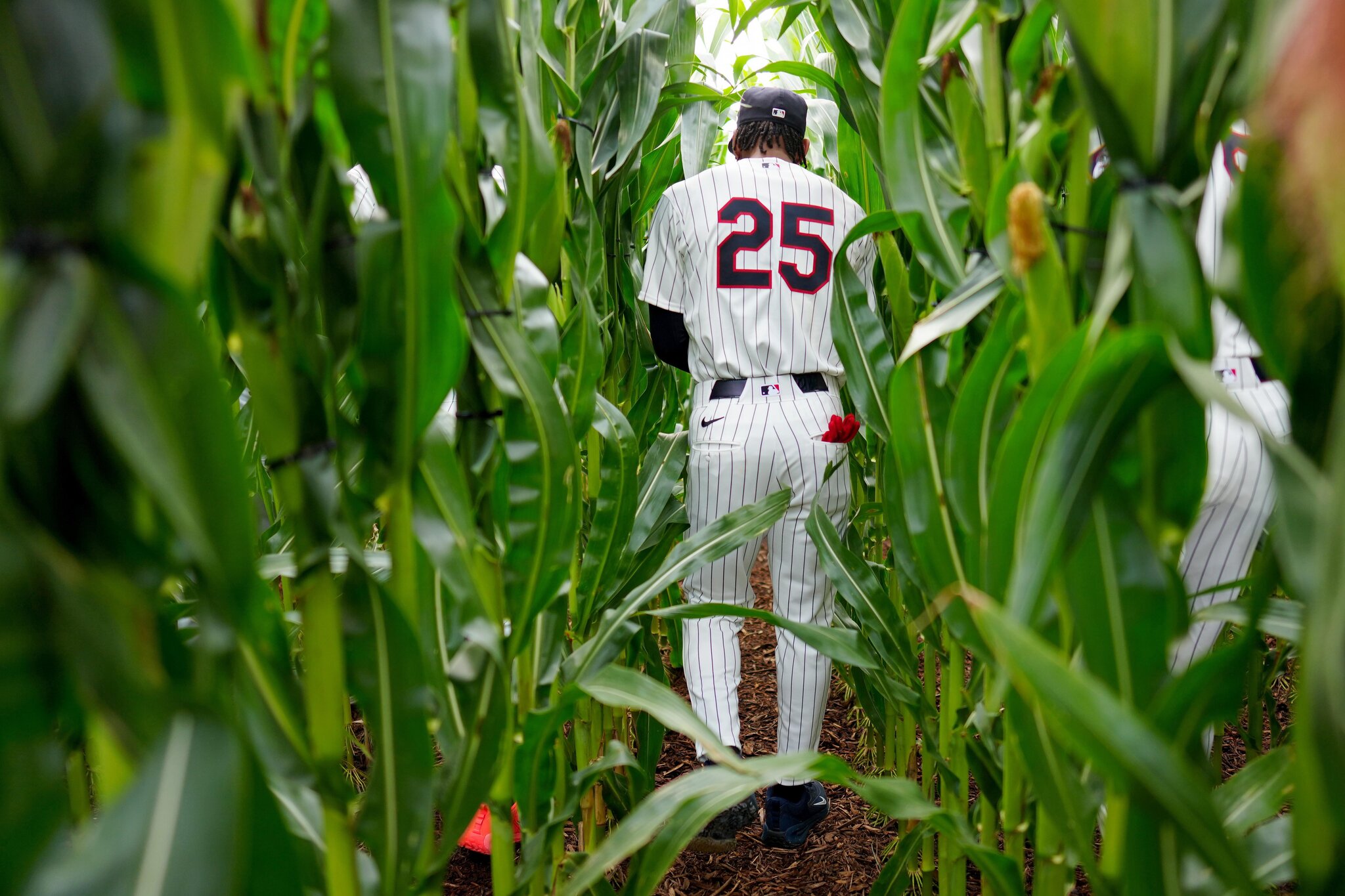 Phillies 7, Twins 1: “There’ll be other days