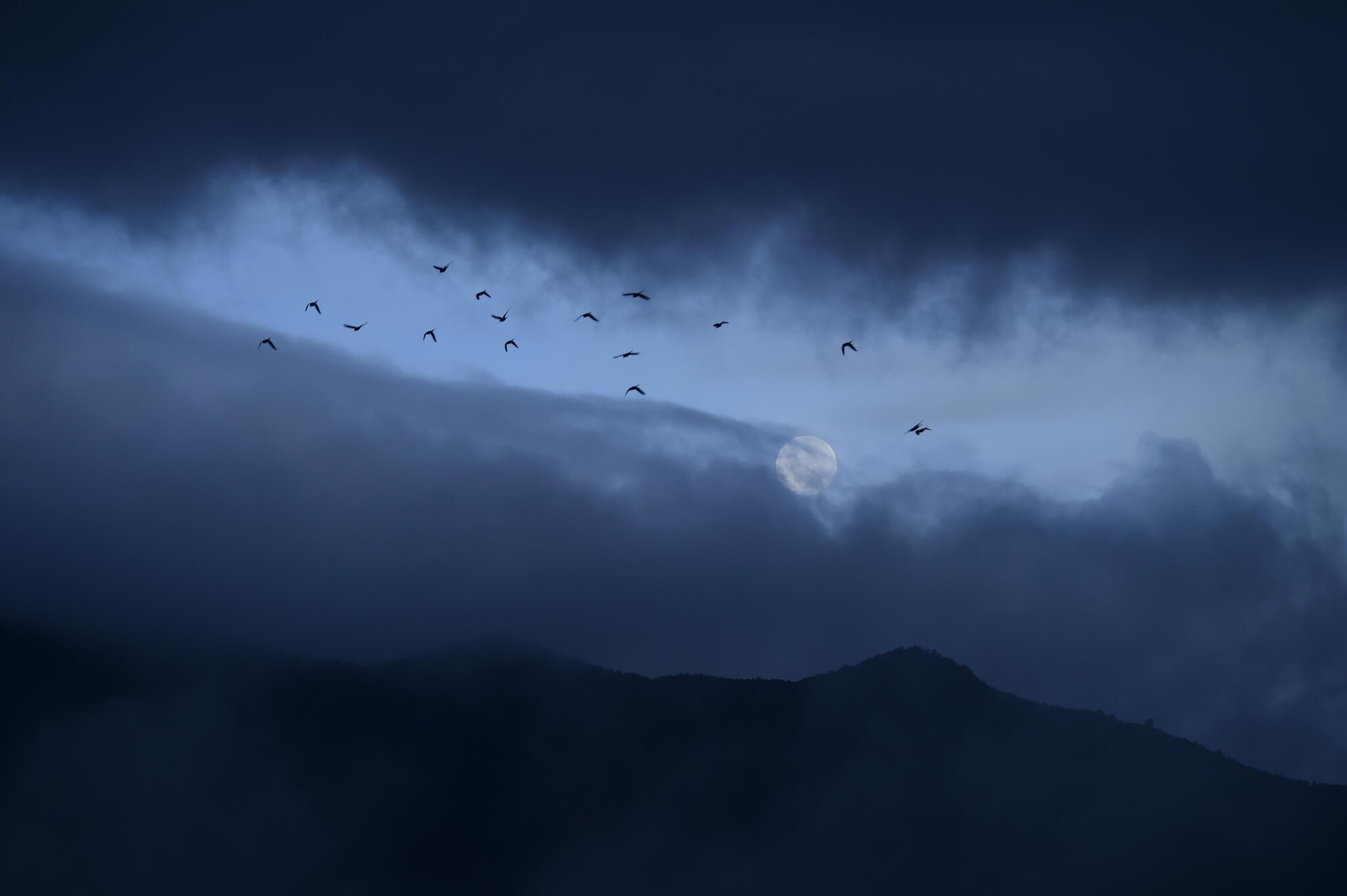 Open Thread, August 2, 2026: Rainy days