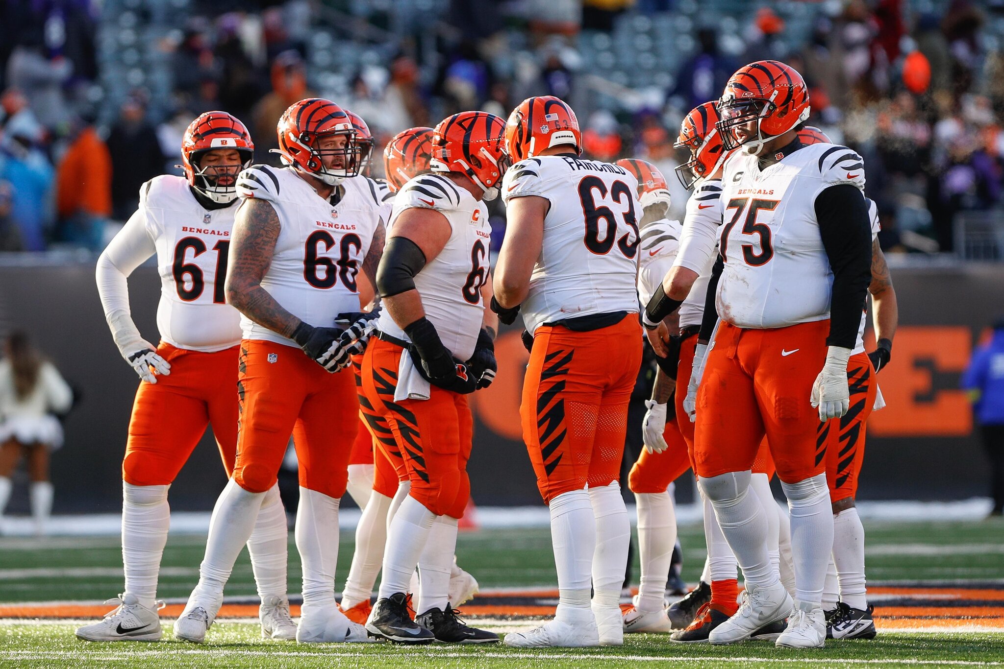 What is the biggest Bengals training camp storyline?