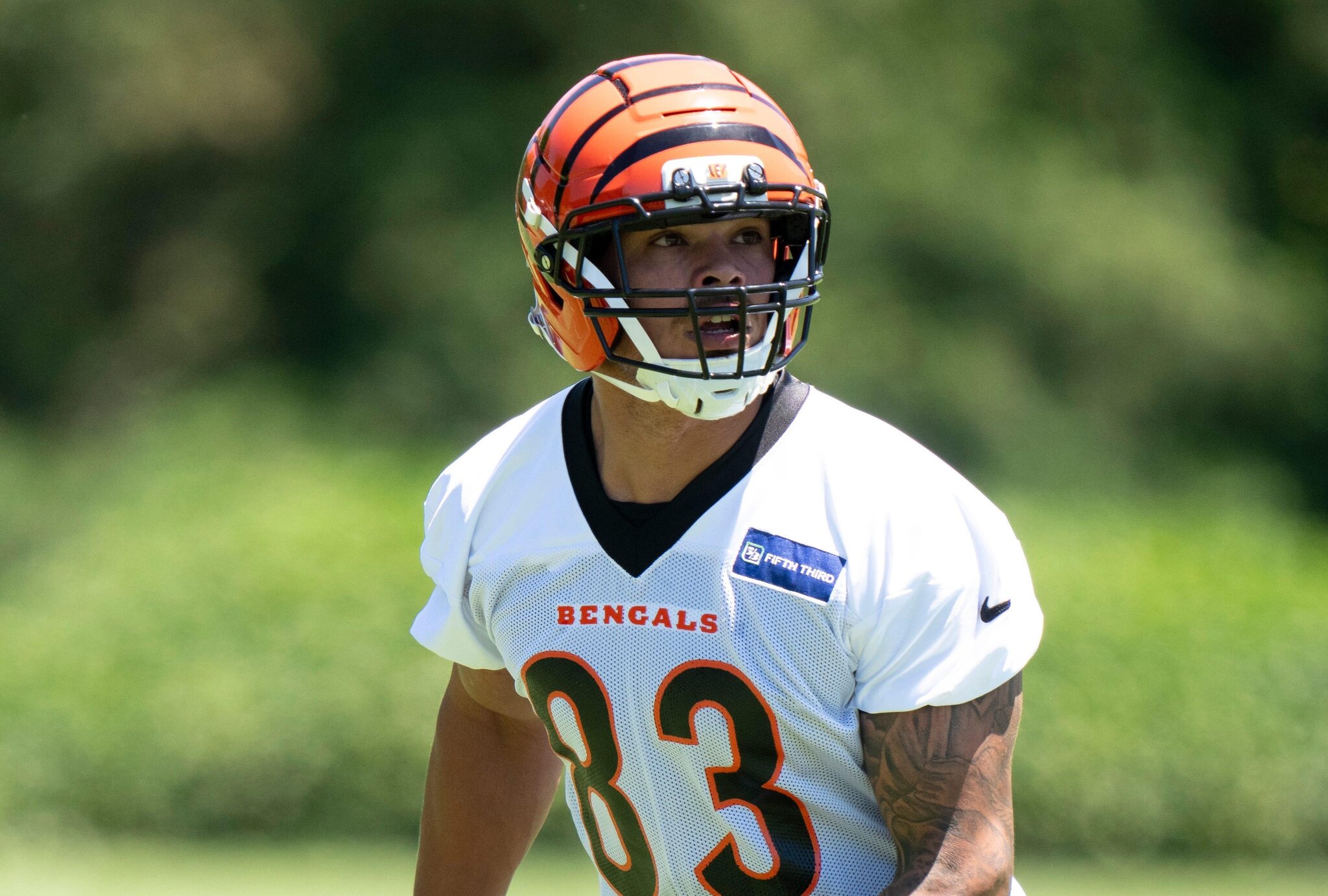 Erick All Jr. and Connor Lew cleared for Bengals training camp