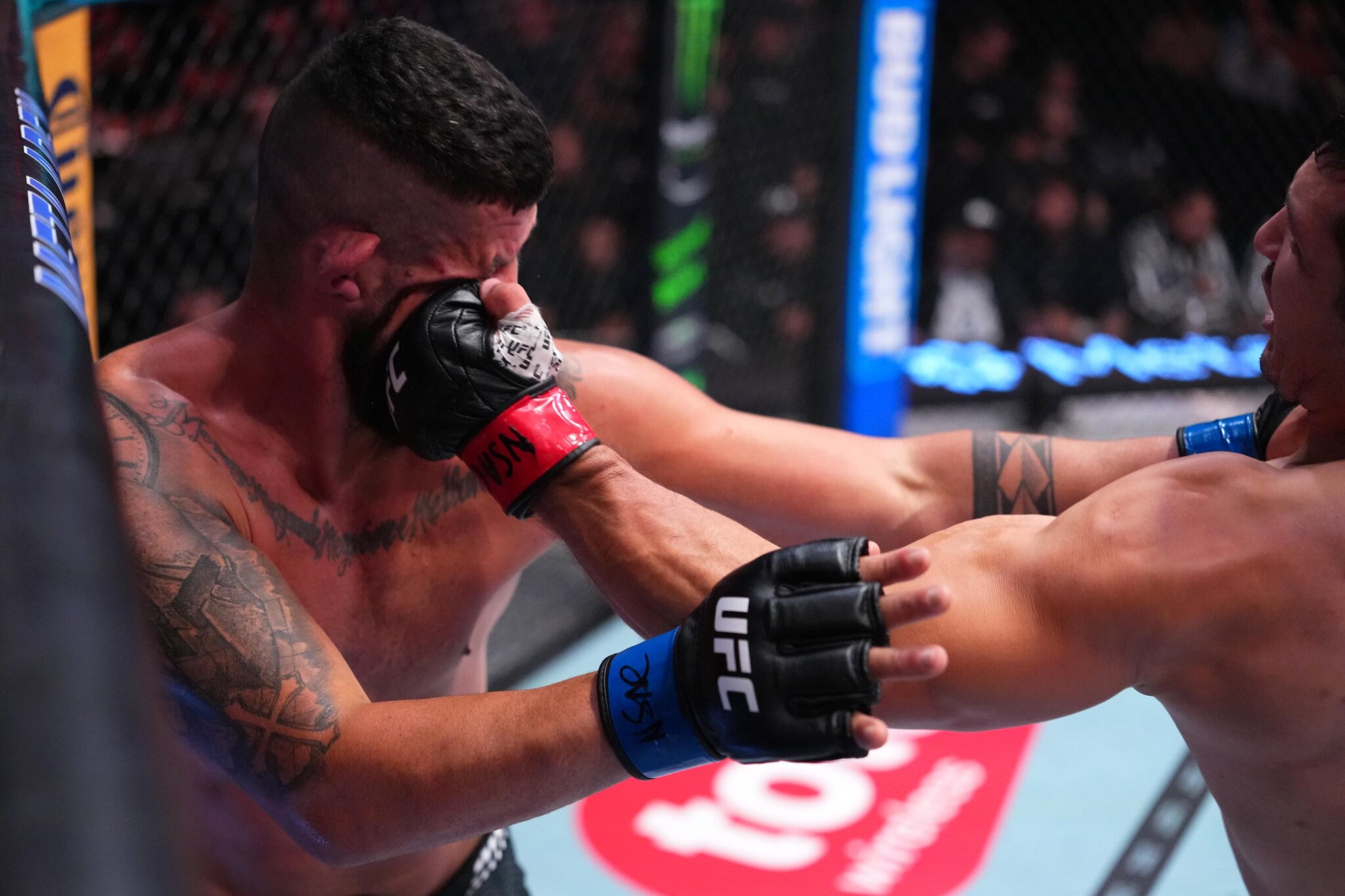UFC Vegas 120 Highlights! Nurgozhay Finally Delivers With Buzzer-Beating KO