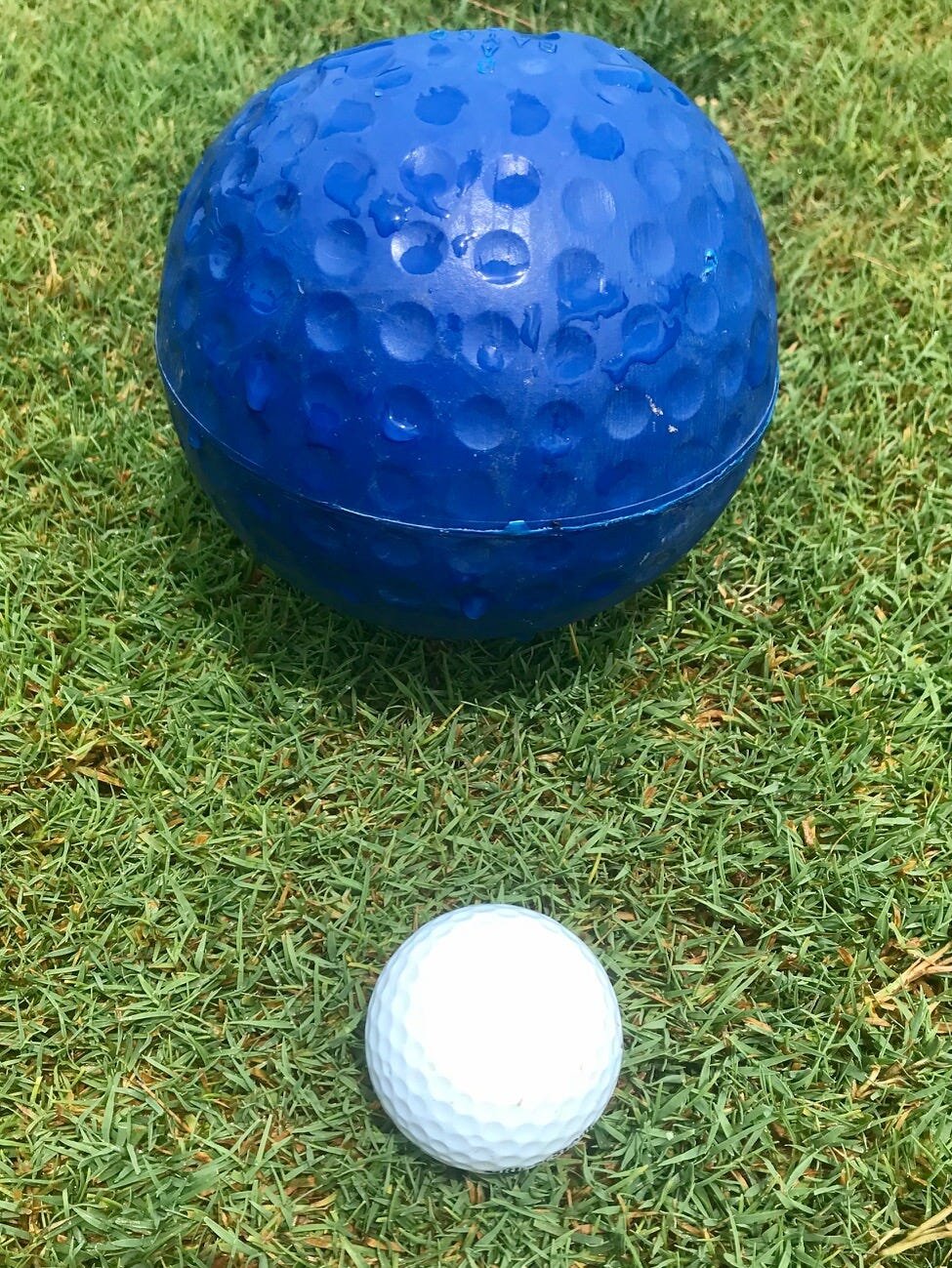 Marion Star Boys, Girls Golfer of the Year polls for early 2026
