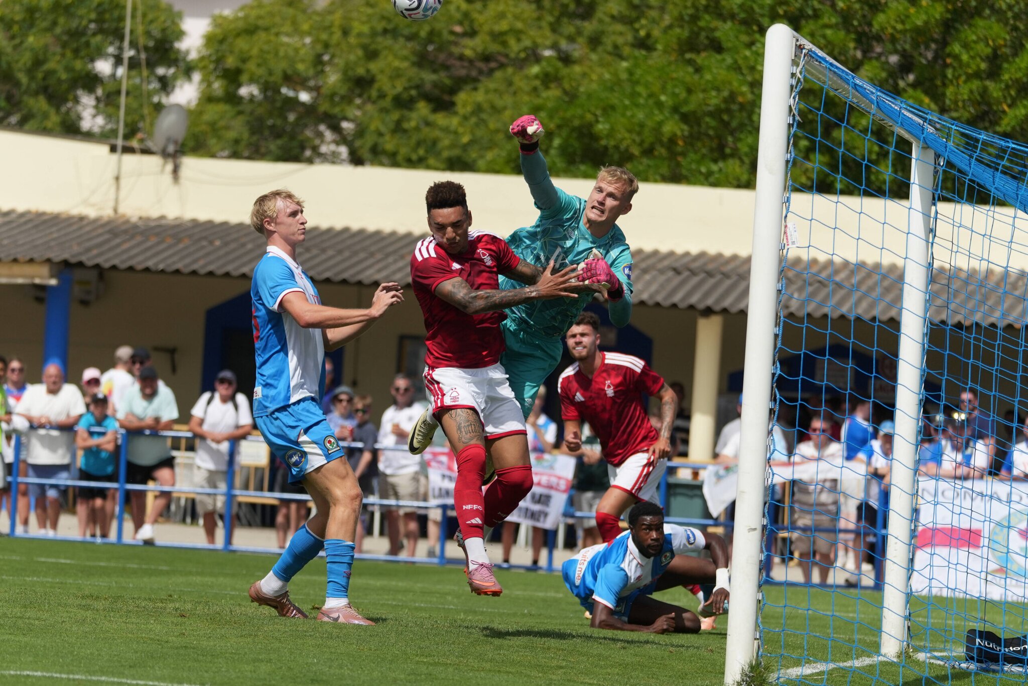 Tony Mowbray has his say on Celtic’s interest in Balazs Toth