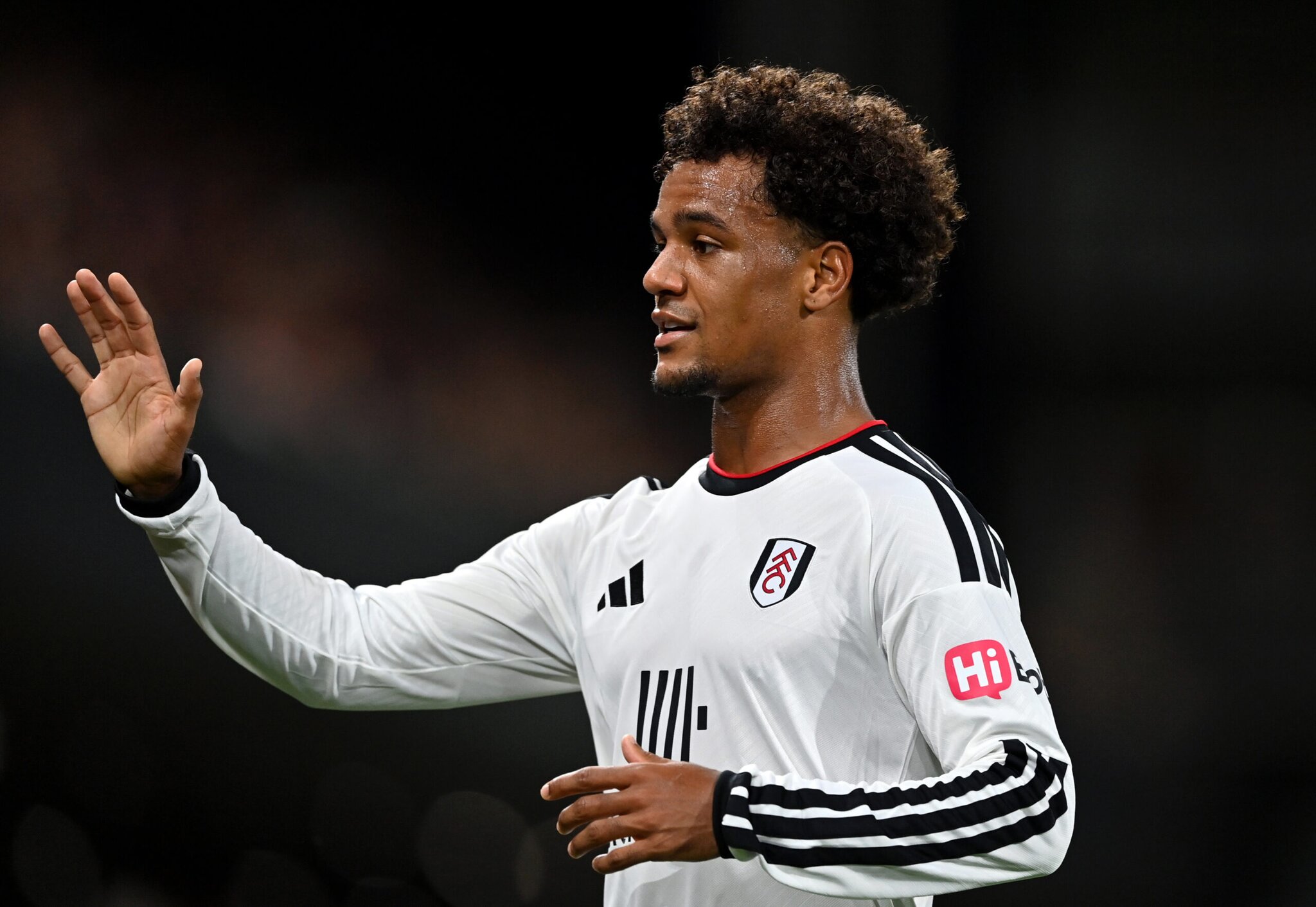 Fulham XI vs Sunderland