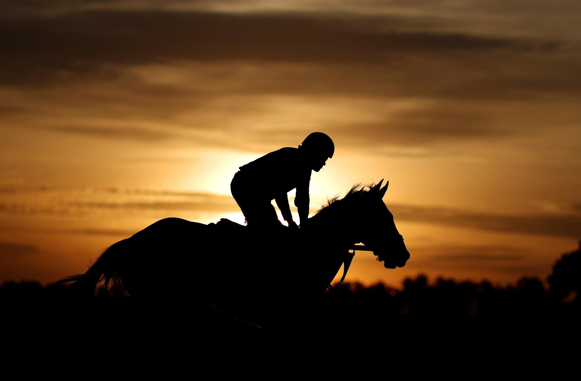 The Fair Hill Five: horse racing’s bizarre transatlantic betting coup