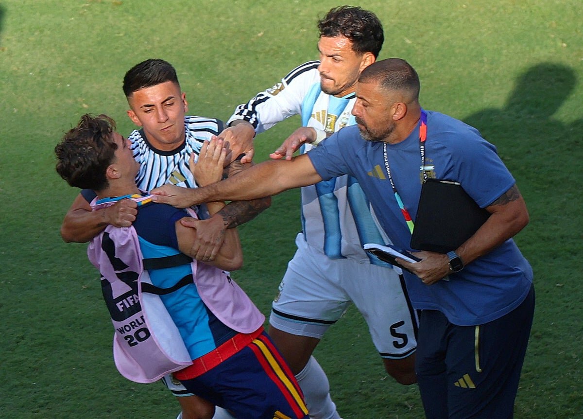World Cup final referee Slavko Vincic retires days after controversial Spain vs Argentina clash