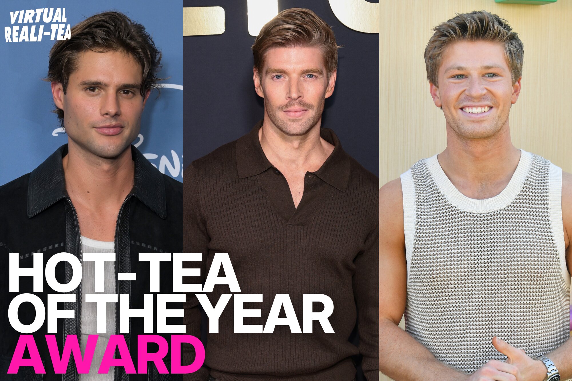 Vote on reality TV’s hottest for the Hot-Tea of the Year award