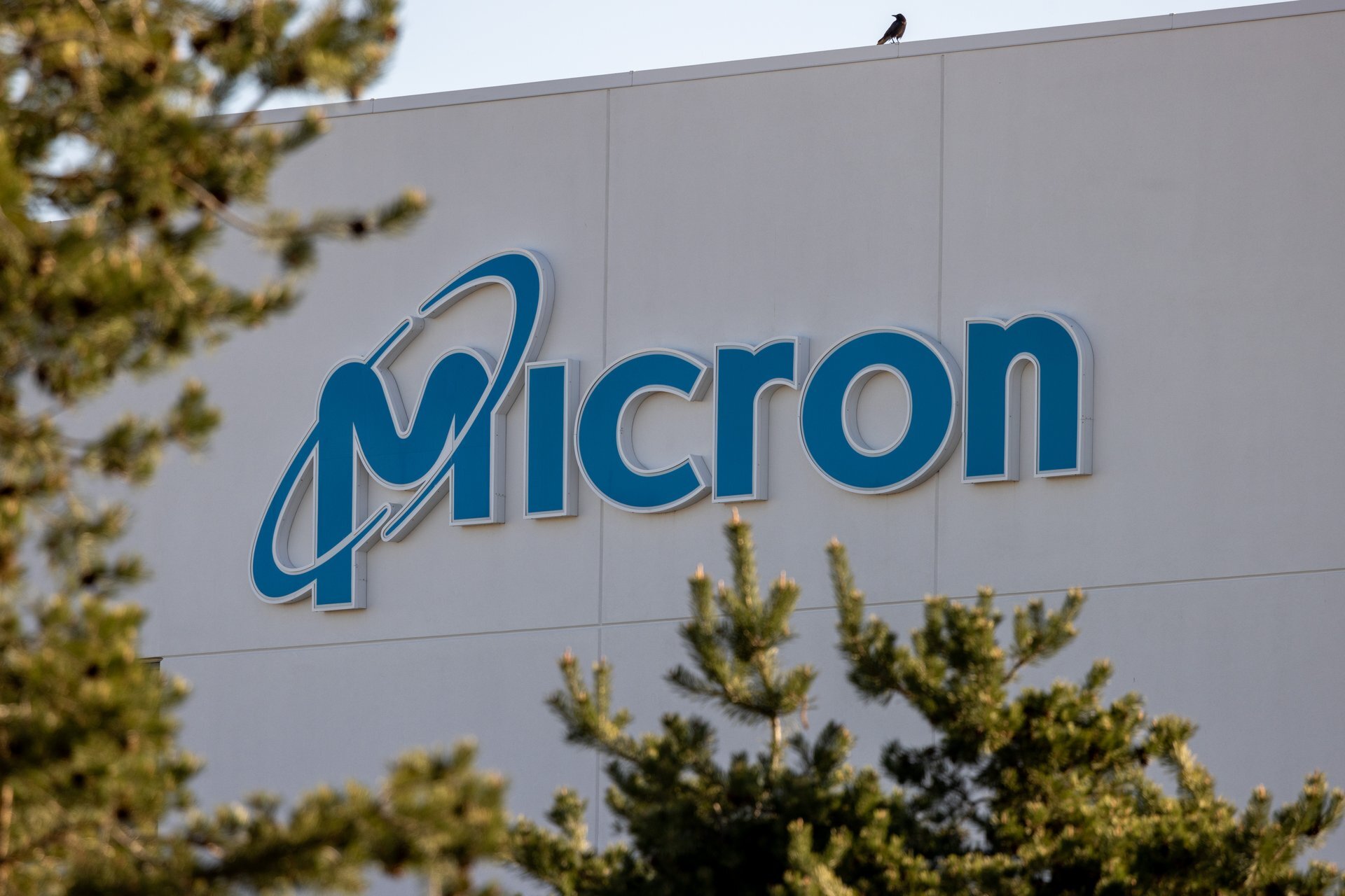 Micron is pouring $10 billion into a new AI memory research lab in Boise