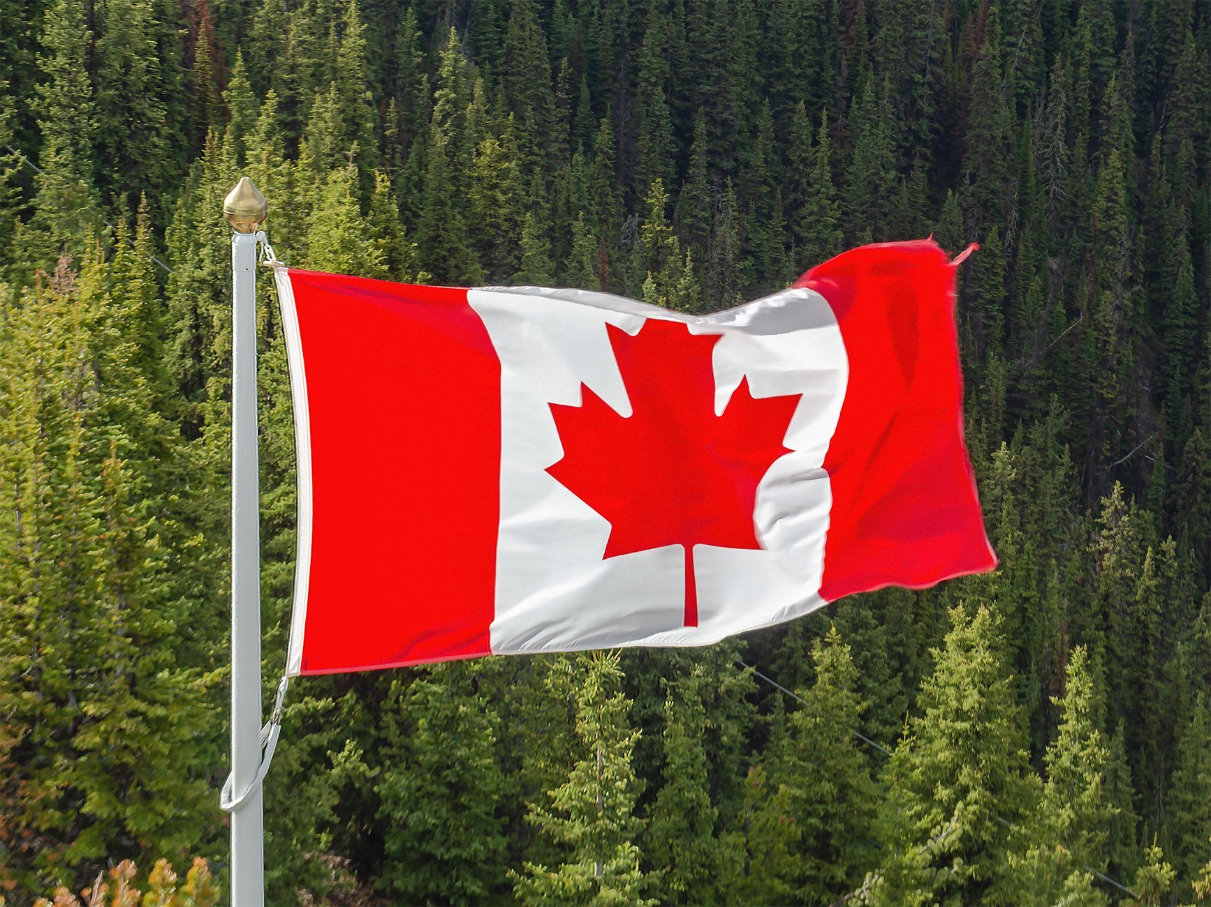Canada is in talks to avoid 50% tariffs before a midnight Wednesday deadline