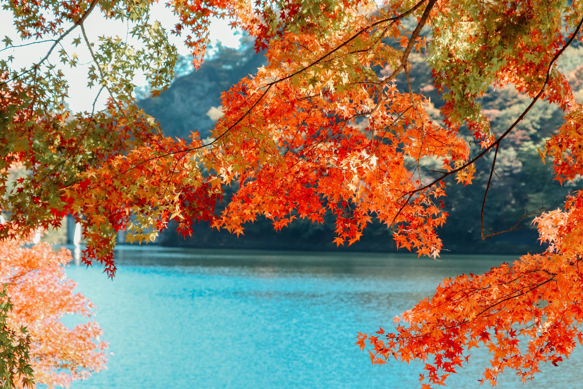 8 places outside the U.S. where fall foliage rivals New England