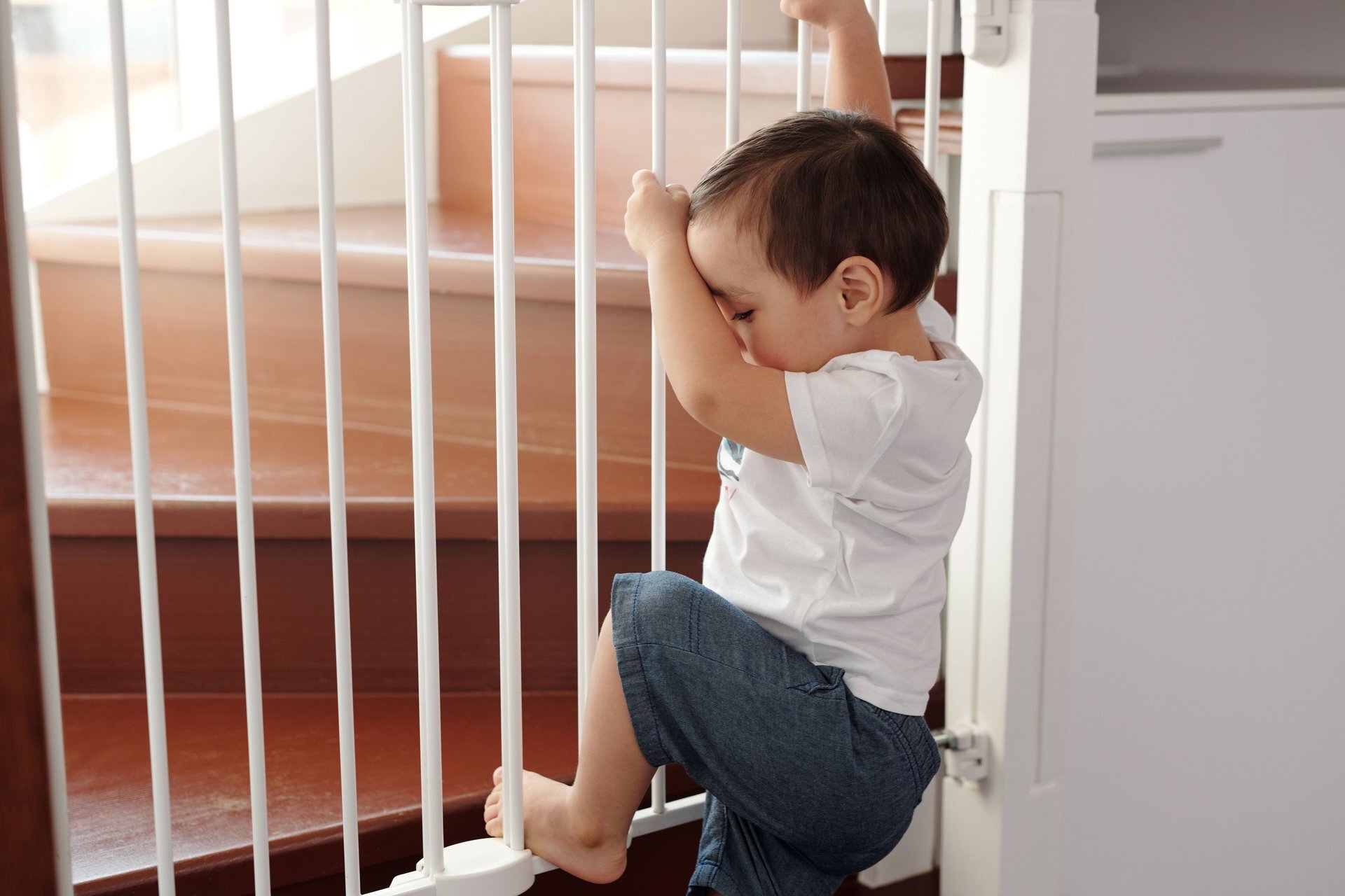 The 9 best baby gates, according to Consumer Reports