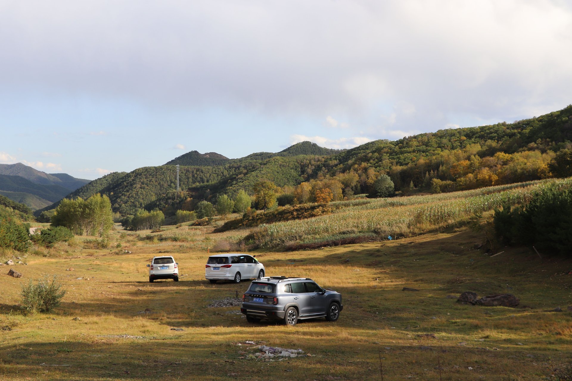 The best 5-year-old SUVs to buy used in 2026: Consumer Reports