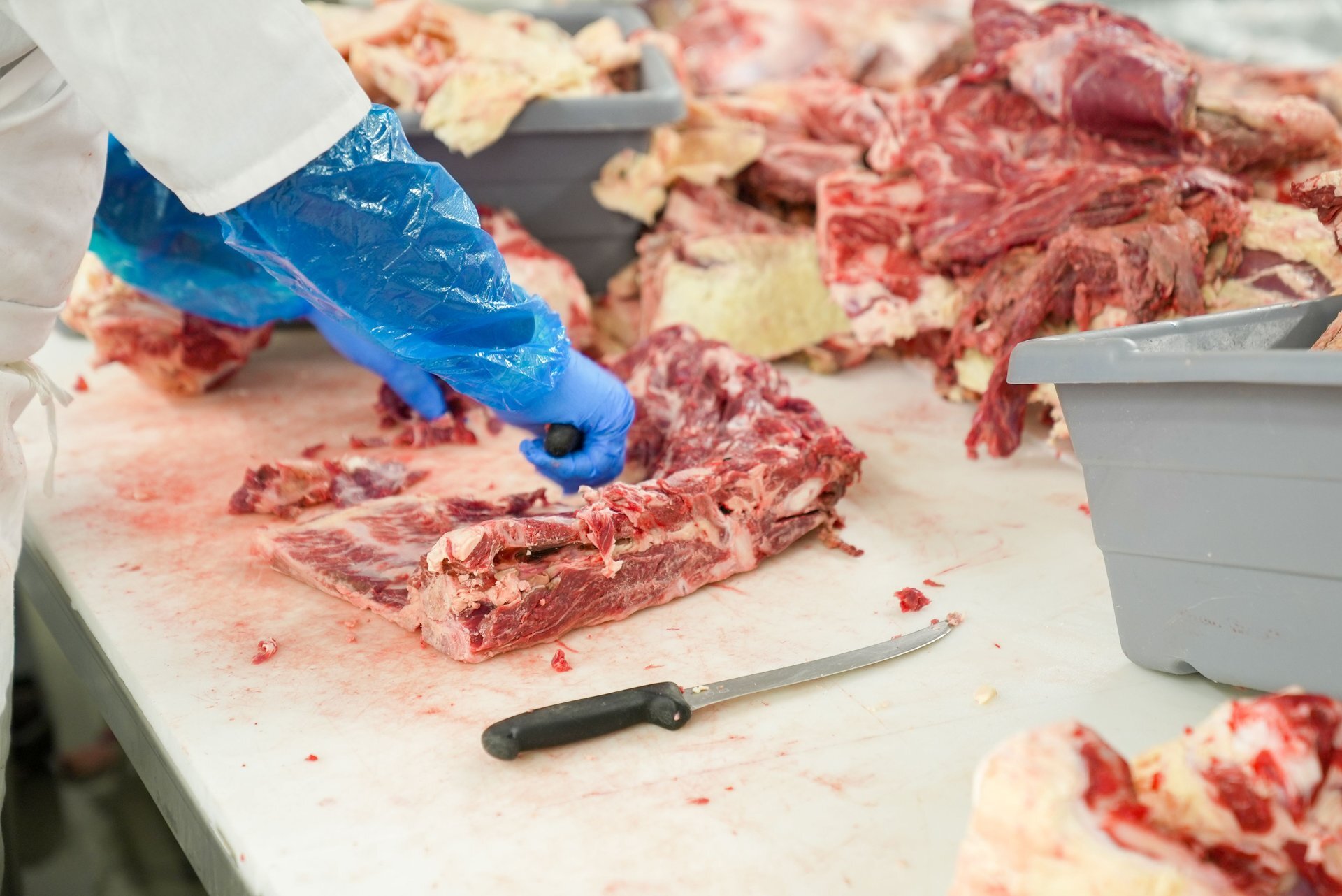 Trump is moving to let ranchers process their own meat, calling Big Four a monopoly