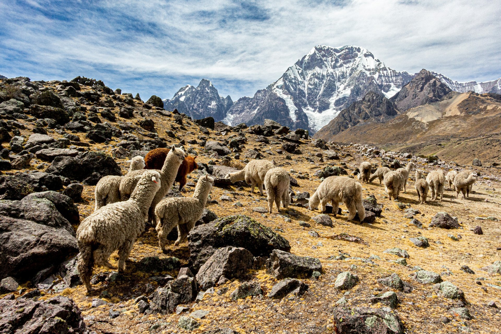 The 8 best places to visit in Peru in 2026 beyond Machu Picchu