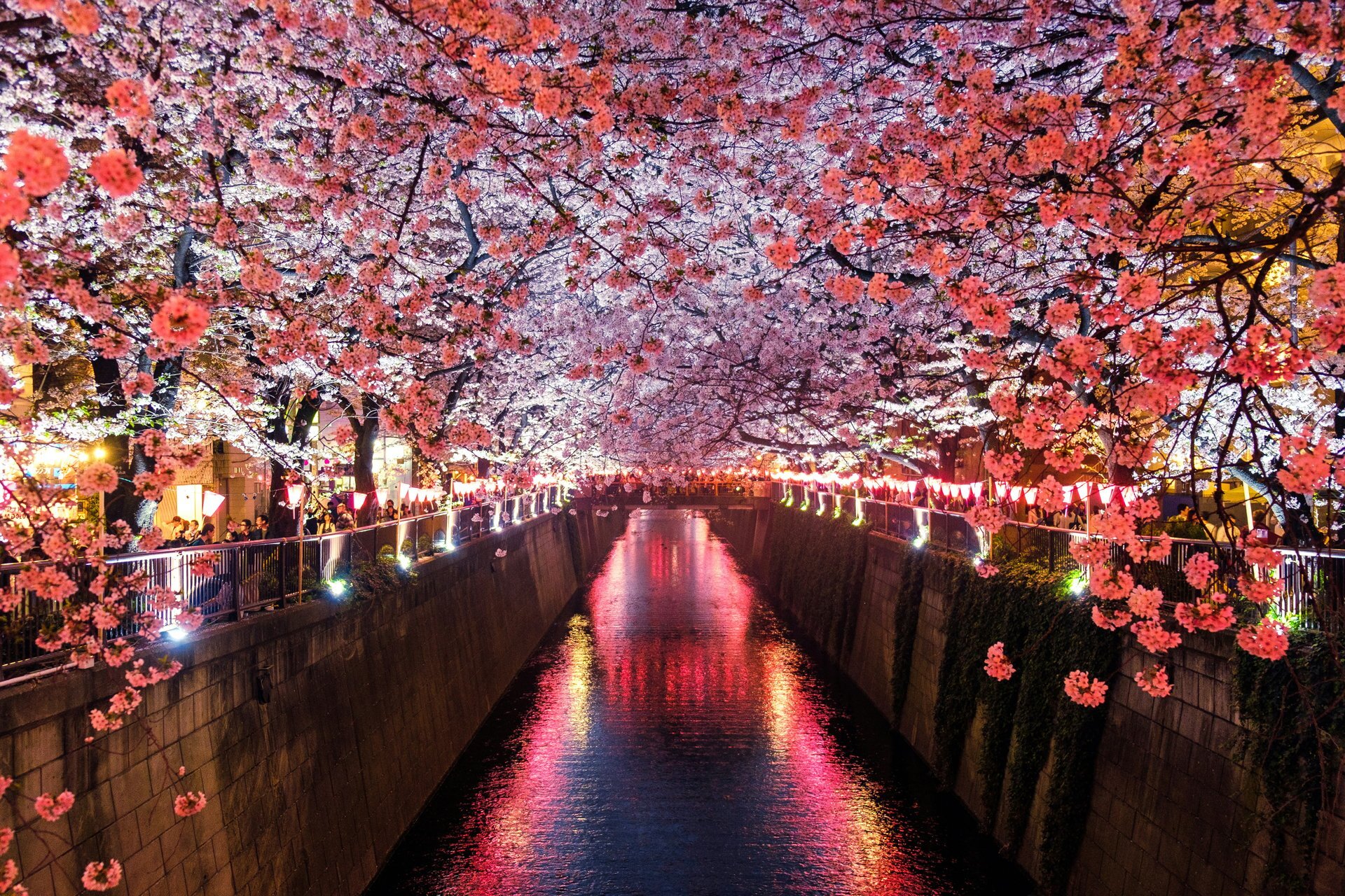 The best places to visit in Japan in 2026, beyond Tokyo and Kyoto