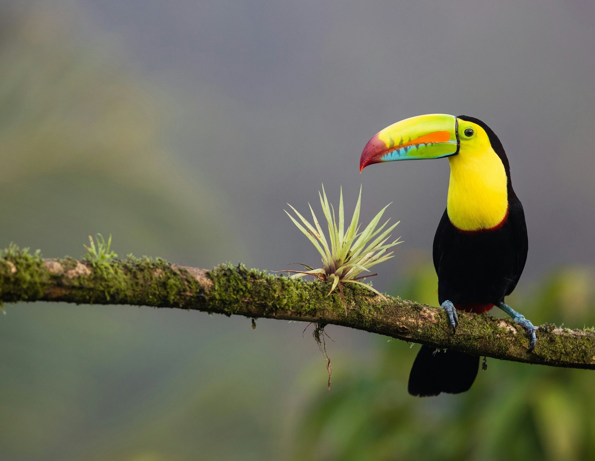 The 9 best places to visit in Costa Rica in 2026, ranked