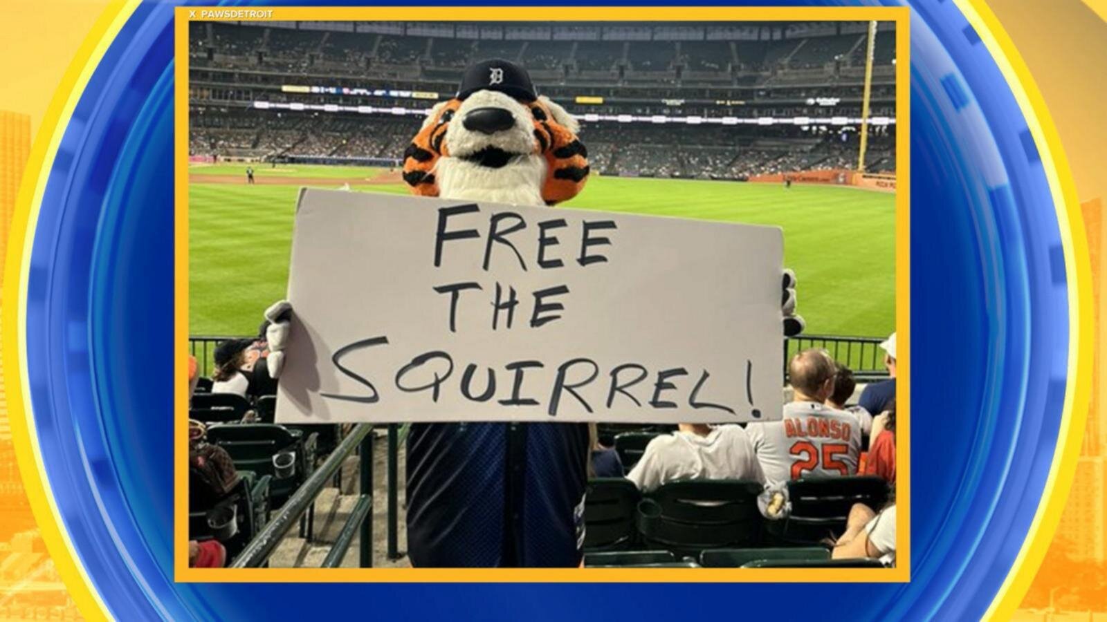 Squirrel runs onto field during MLB game