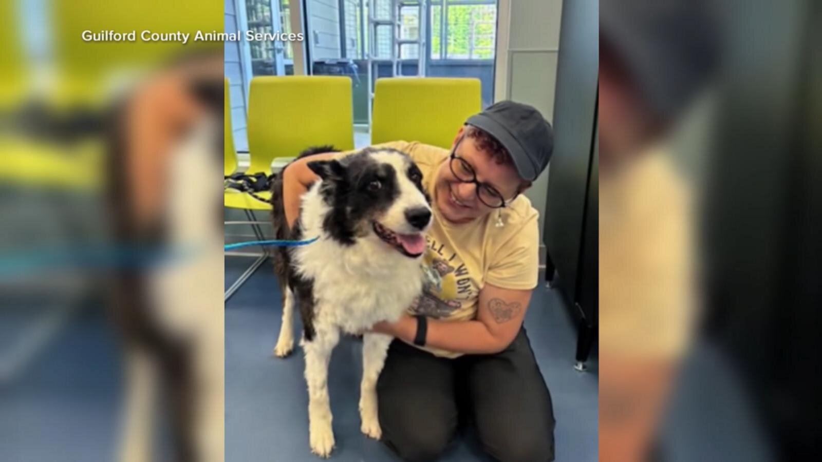Lost dog reunited with family after 1,000-mile journey