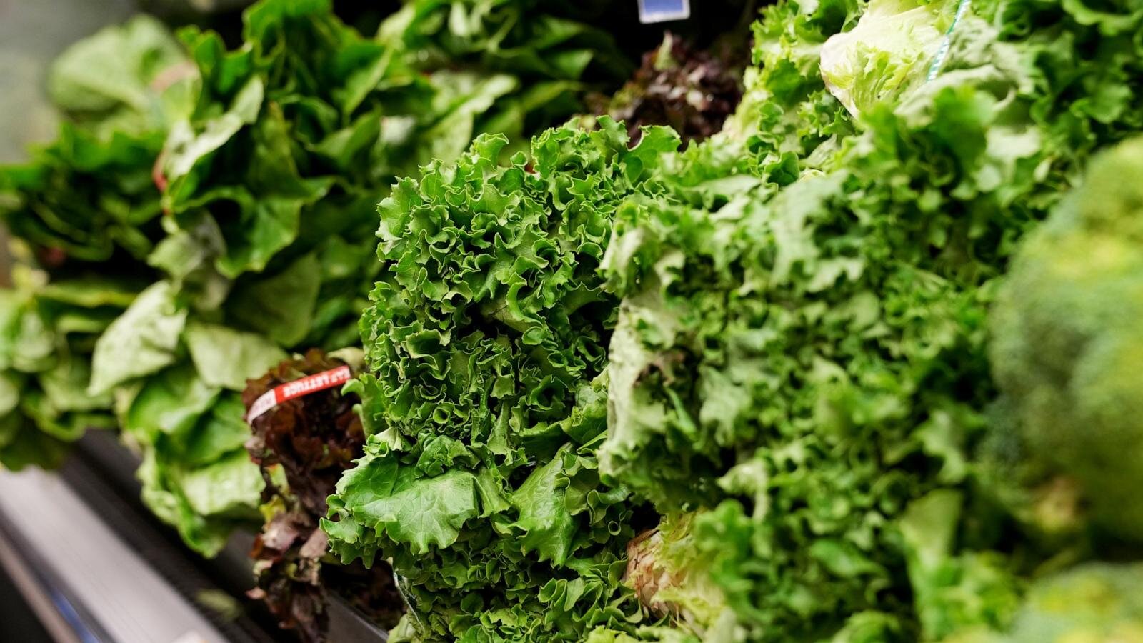 People can resume regular lettuce-eating habits, Michigan health officials say