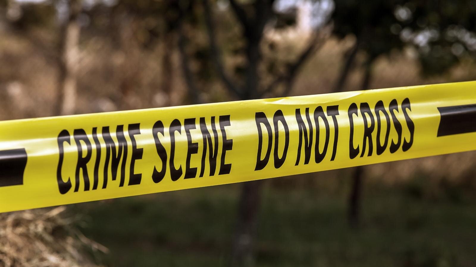 1 dead after small plane crashes near Chandler Airport in Arizona, fire officials say