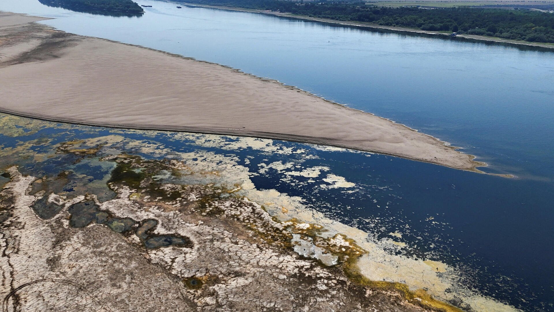 Drought-hit Danube gives way to mammoth fossil hunt in Bulgaria