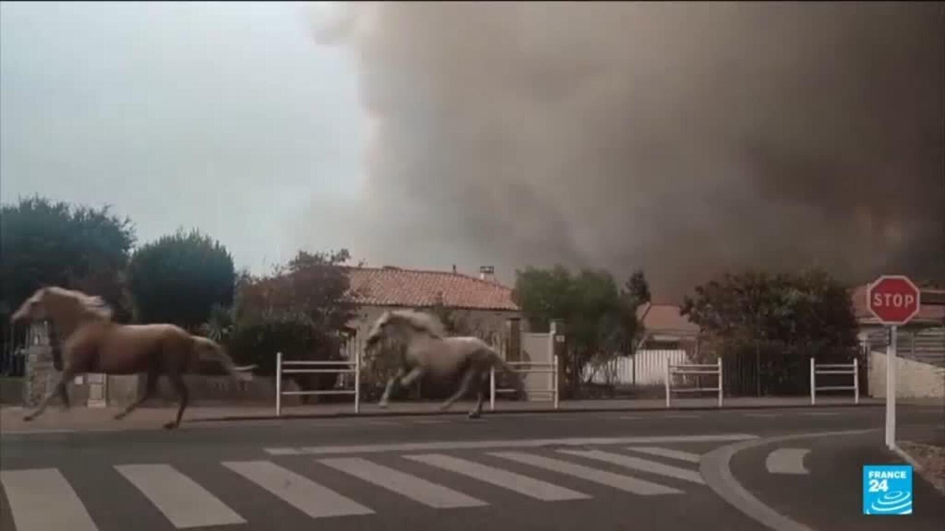 Wildfires ravage southwest France: Thousands face devastation after evacuation