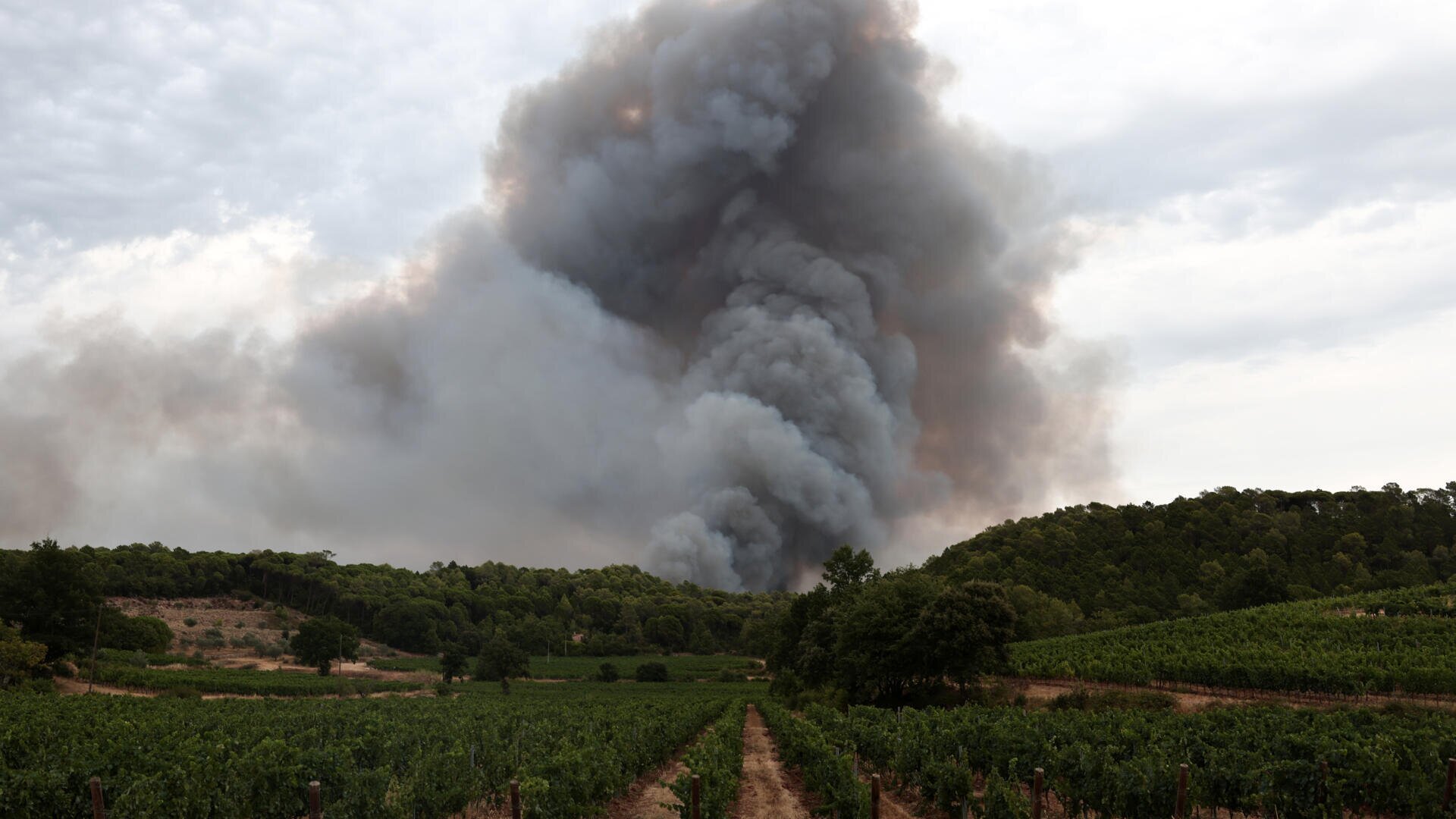 French winemakers worry about 'smoky taste' after wildfires
