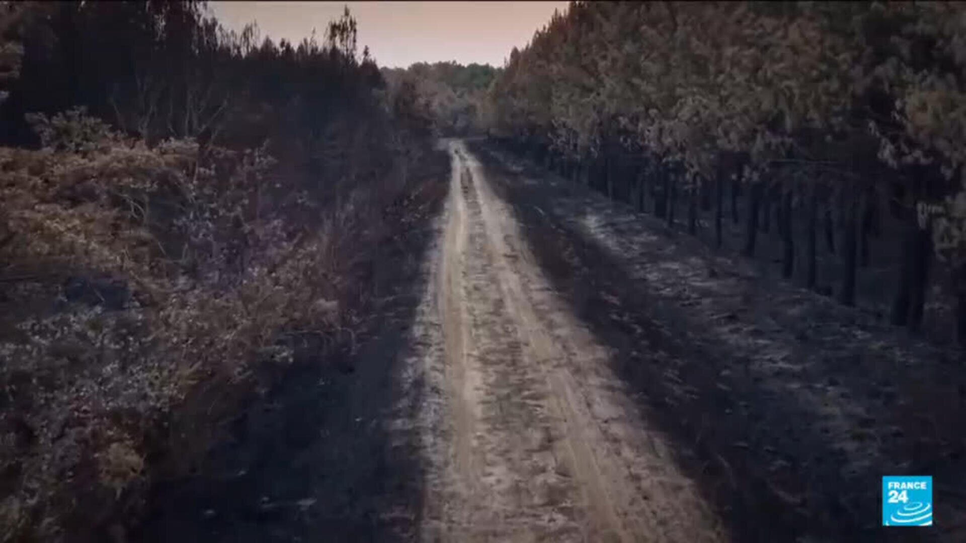 Drone reveals charred forest landscape after wildfires scorch France