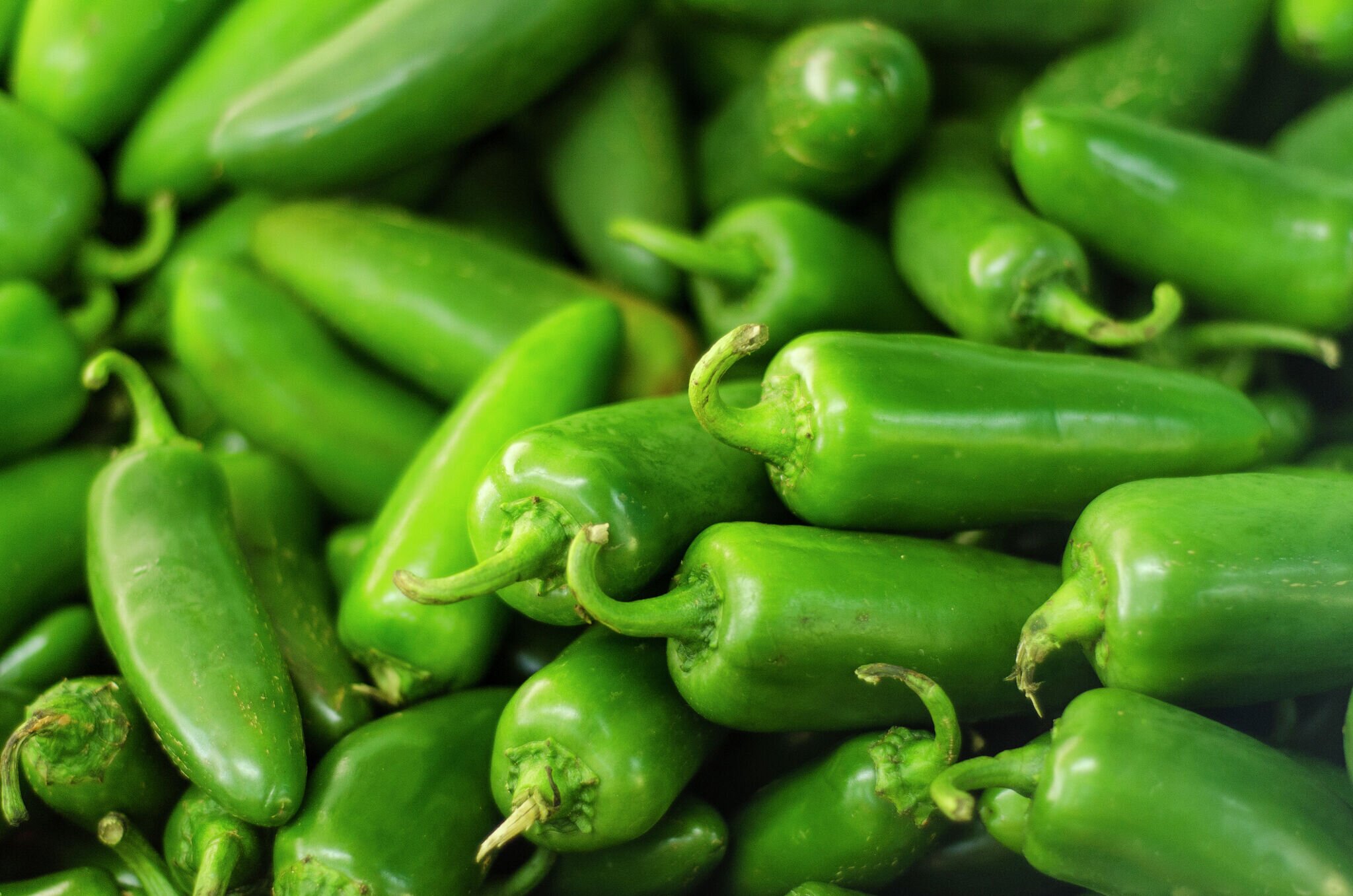 Texas Costco jalapeños recalled after salmonella warning