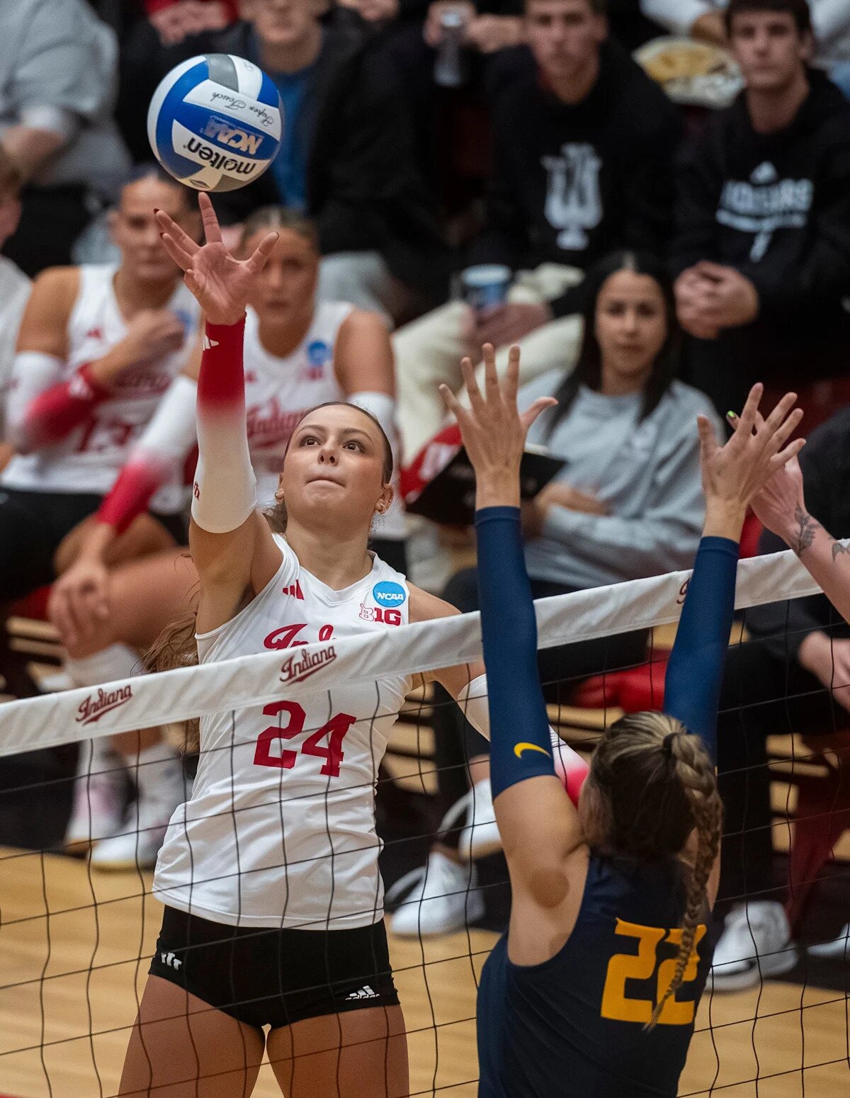 No. 16 Indiana volleyball won't surprise anyone, but their 'hunter' mindset hasn't changed