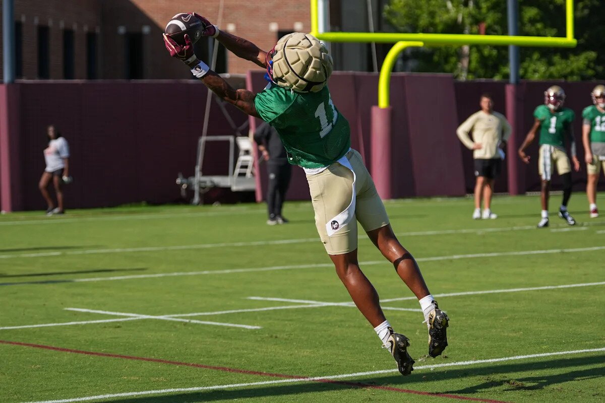 FSU freshman wide receiver suffers back injury