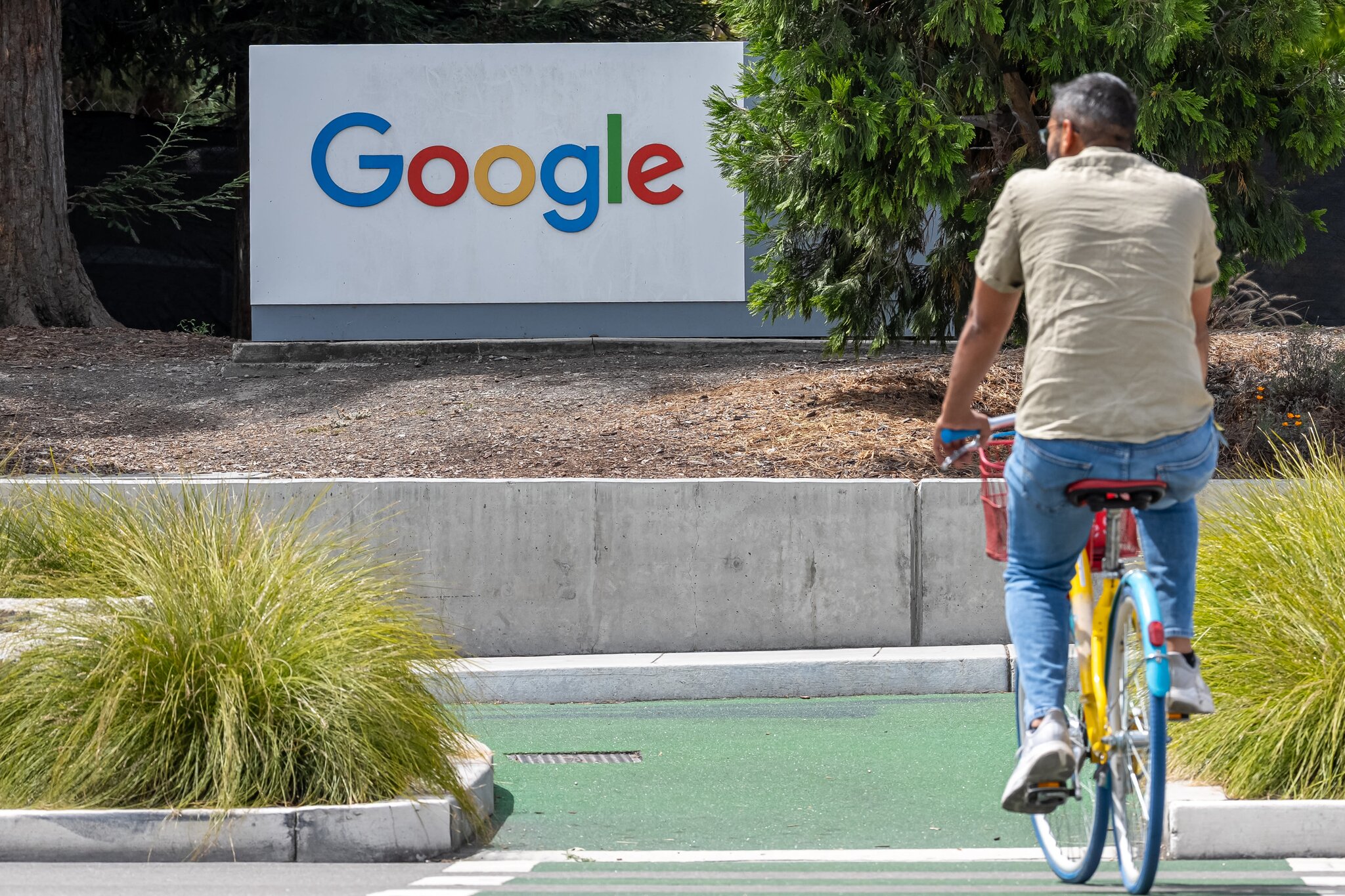 Chip stock rout sends investors rushing back to bruised Alphabet stock