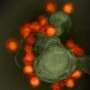 AI‑designed viruses are a test of whether biosecurity can keep pace