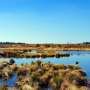 Putting out wildfires: How peat restoration has reduced fire risk in Indonesia's tropical forests