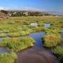 Rising seas are inundating US coastal wetlands, putting many on track to become open water