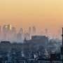 After 80 years, elusive molecules reveal how ozone starts turning plant emissions into haze