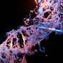 AI finds tiny gene editor changes that reduce unintended DNA edits
