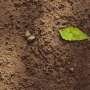 A $10 soil test goes global with virtual reality training for farmers