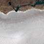Early snow loss exposes Barnes Ice Cap bare ice by mid-July