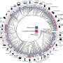 A cooperative approach to reproductive success