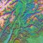 A faster, cheaper way to map the world's forests with AI