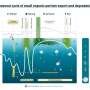 Mechanical shortcut' rapidly carries organic particles into the deep ocean