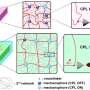 A mechanically tunable molecular switch for circularly polarized light emission
