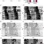 A new way to beat jet lag? Engineered cells speed circadian adjustment