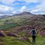 Ancient Irish volcano offers new clues about the development of its modern-day, active 'brothers and sisters