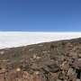 Antarctica is home to microbes found nowhere else on Earth