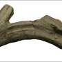 A snake-headed vessel hints at a mysterious Roman cult