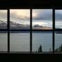 Bird‑safe glass must become the norm to prevent collisions with buildings