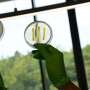 Soil-dwelling myxobacteria reveal five new classes of bioactive compounds